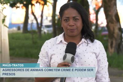 SJR: agressores que cometem crimes de maus tratos contra animais podem ser presos