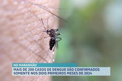  Mais de 200 casos de dengue são confirmados no 1º bimestre de 2024 no MA