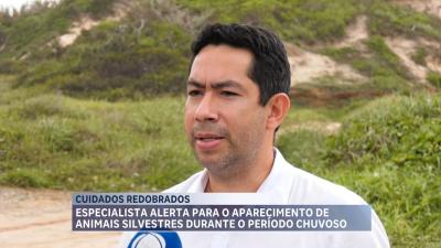  Especialista explica aparecimento de animais silvestres no período chuvoso