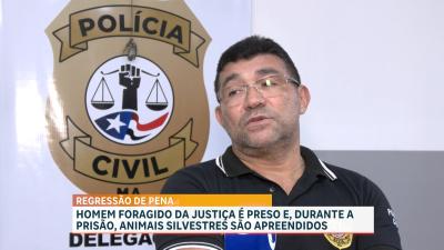  Polícia recaptura foragido e apreende pássaros em São José de Ribamar